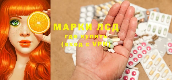 прущие грибы Алексеевка