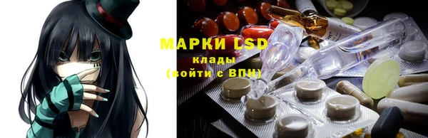 прущие грибы Алексеевка