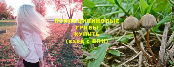 прущие грибы Алексеевка