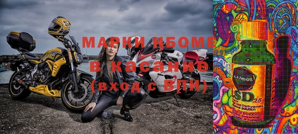 прущие грибы Алексеевка