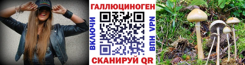 купить наркоту  kraken зеркало  Псилоцибиновые грибы Magic Shrooms  Мураши 